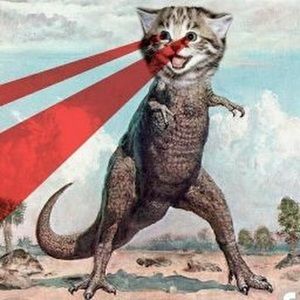 Meet your Posher, Jodi